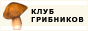 баннер анимация gif
