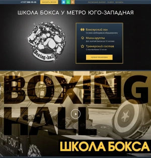 Сайт Визитка: Школа бокса у метро «Юго-Западная»