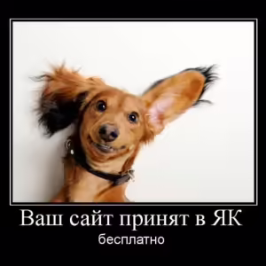 demotivator-seo-11
