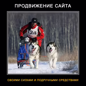 demotivator-seo-37