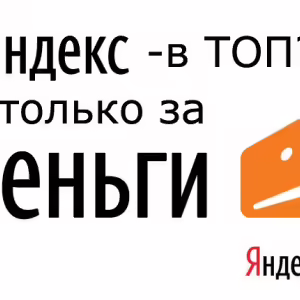 seo-13