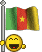 смайлик флаг Камерун